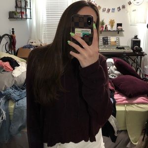 Brandy Melville Maroon Sweater